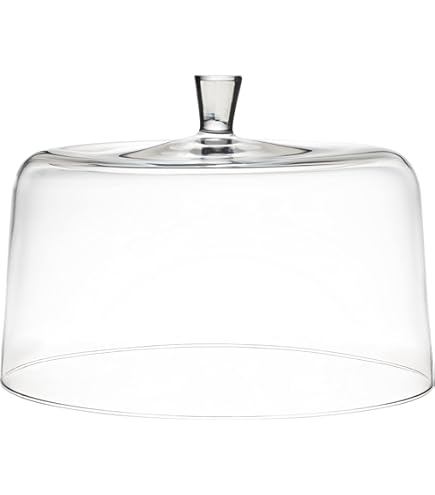 Amazon.com: LSA LW08 Lotta Cheese/Pastries Dome & Ash Base Ø12.5in